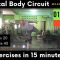 Total Body Circuit