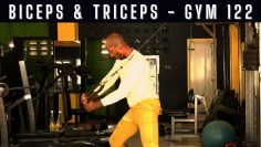 biceps and triceps in the gym SweatPh.com