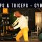 Biceps and triceps – Gym 121