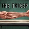 Triceps