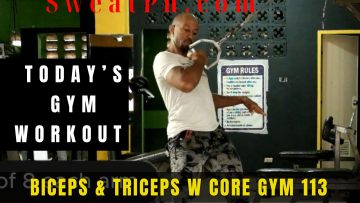 Biceps & Triceps w core Gym 113