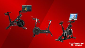 13 Best Exercise Bikes of 2024, According to Fitness Experts