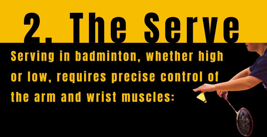 Understanding the Muscles Used in Badminton 101 - Targeted Effort you'll love 2 Badminton Serve Sweatph