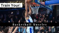Train Your Basketball Muscles – SweatPh