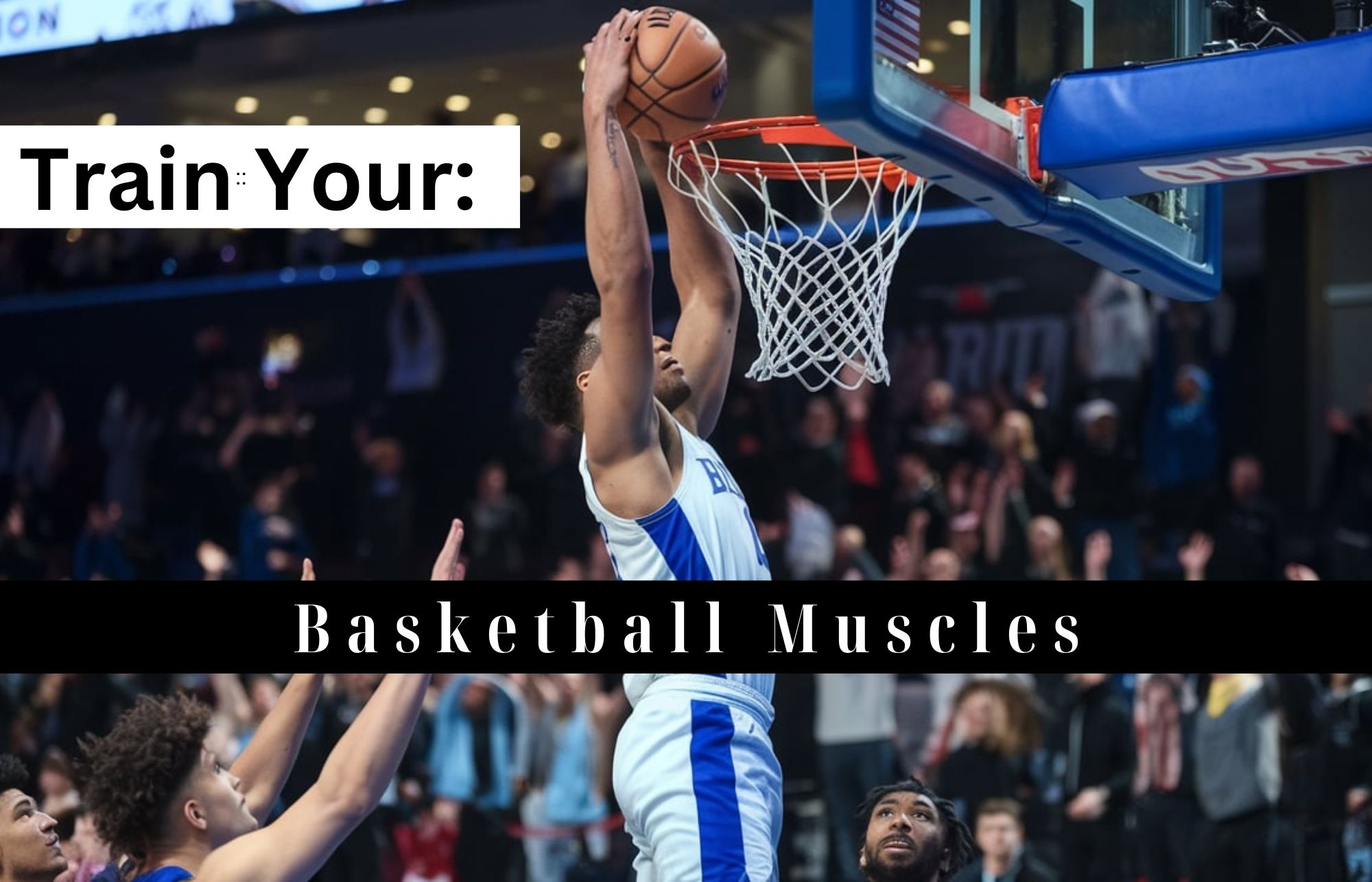 Train Your Basketball Muscles - SweatPh