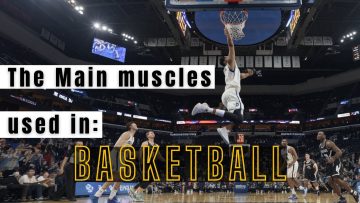 basketball muscles