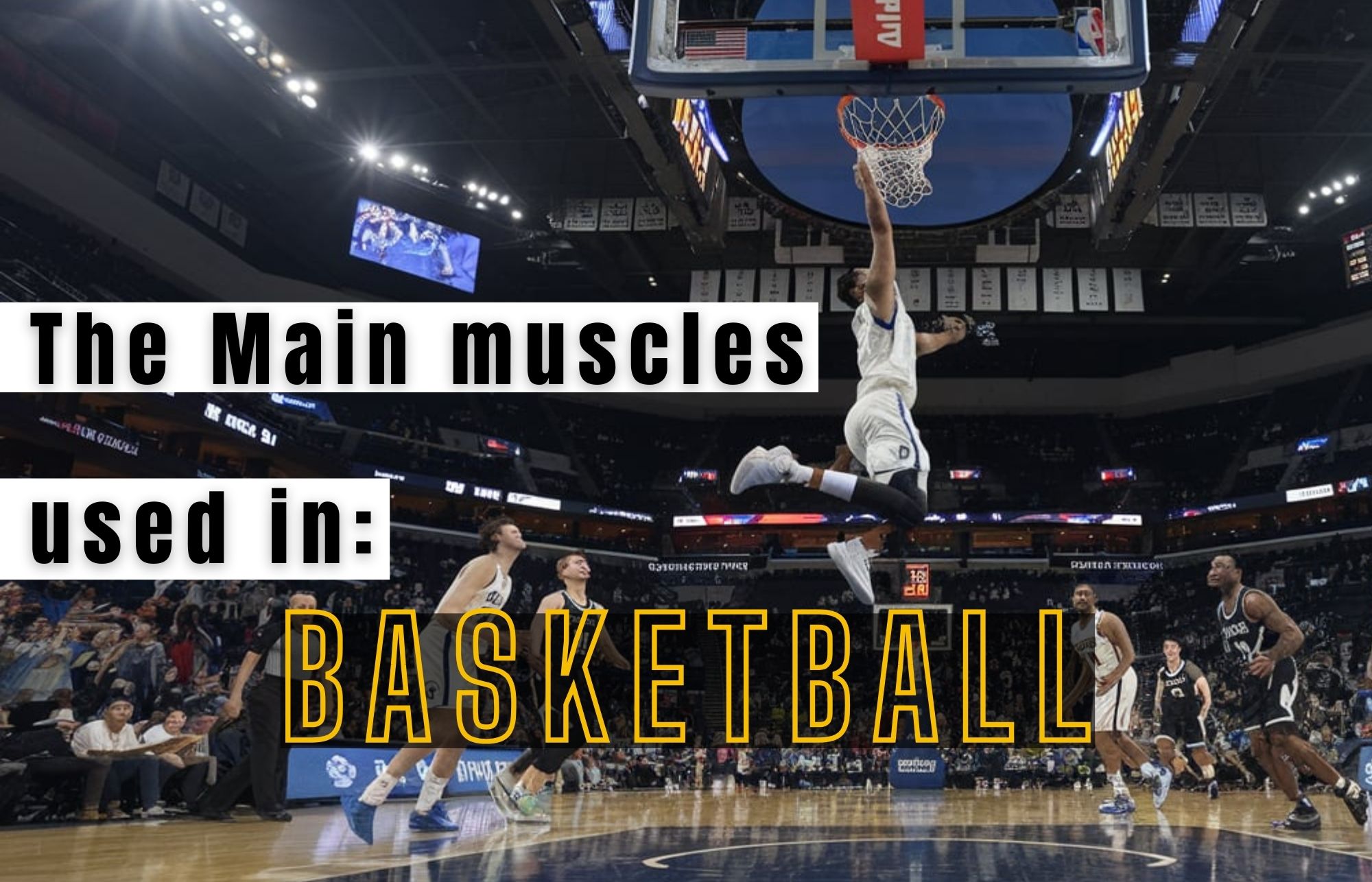 basketball muscles