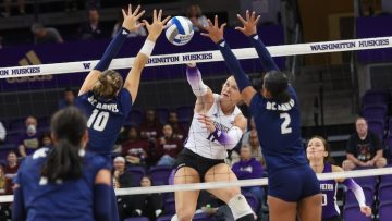 Volleyball Today: Stanford sweeps Texas; Louisville tops Creighton; other ranked