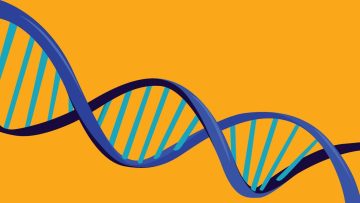 Ancestry vs. 23andMe: How to Pick the Best DNA Testing