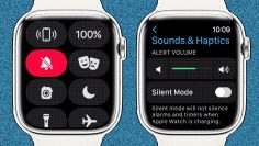 Answered: How to set the Apple Watch to vibrate-only for