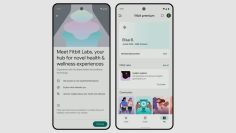 Fitbit is testing out its Gemini-powered AI insights to lucky