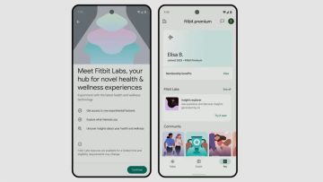 Fitbit is testing out its Gemini-powered AI insights to lucky