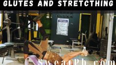 Glutes and Stretcthing