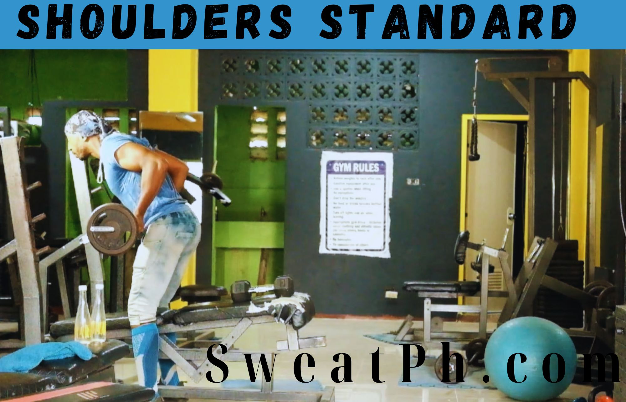 Shoulders Standard Gym