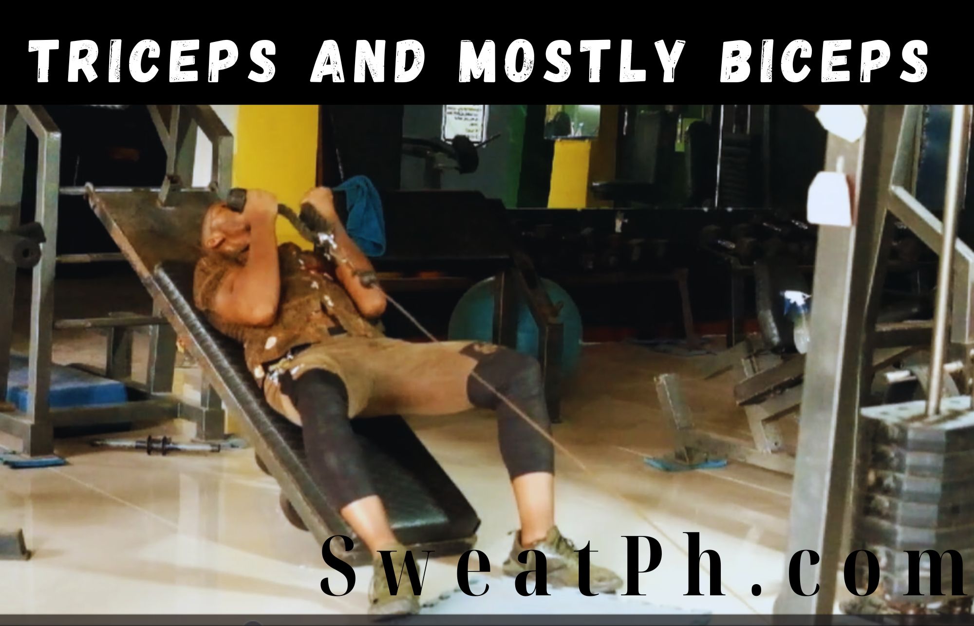 Triceps and mostly biceps